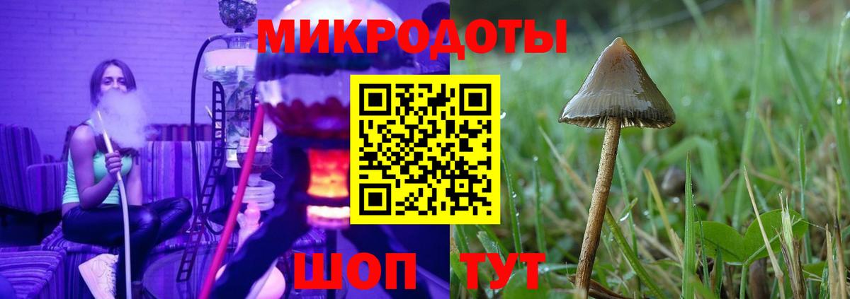 Абинск  Галлюциногенные грибы Psilocybe  Псилоцибиновые грибы мухоморы  Вход с VPN 